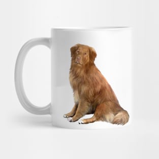 Nova Scotia Duck Tolling Retriever - just the dog Mug